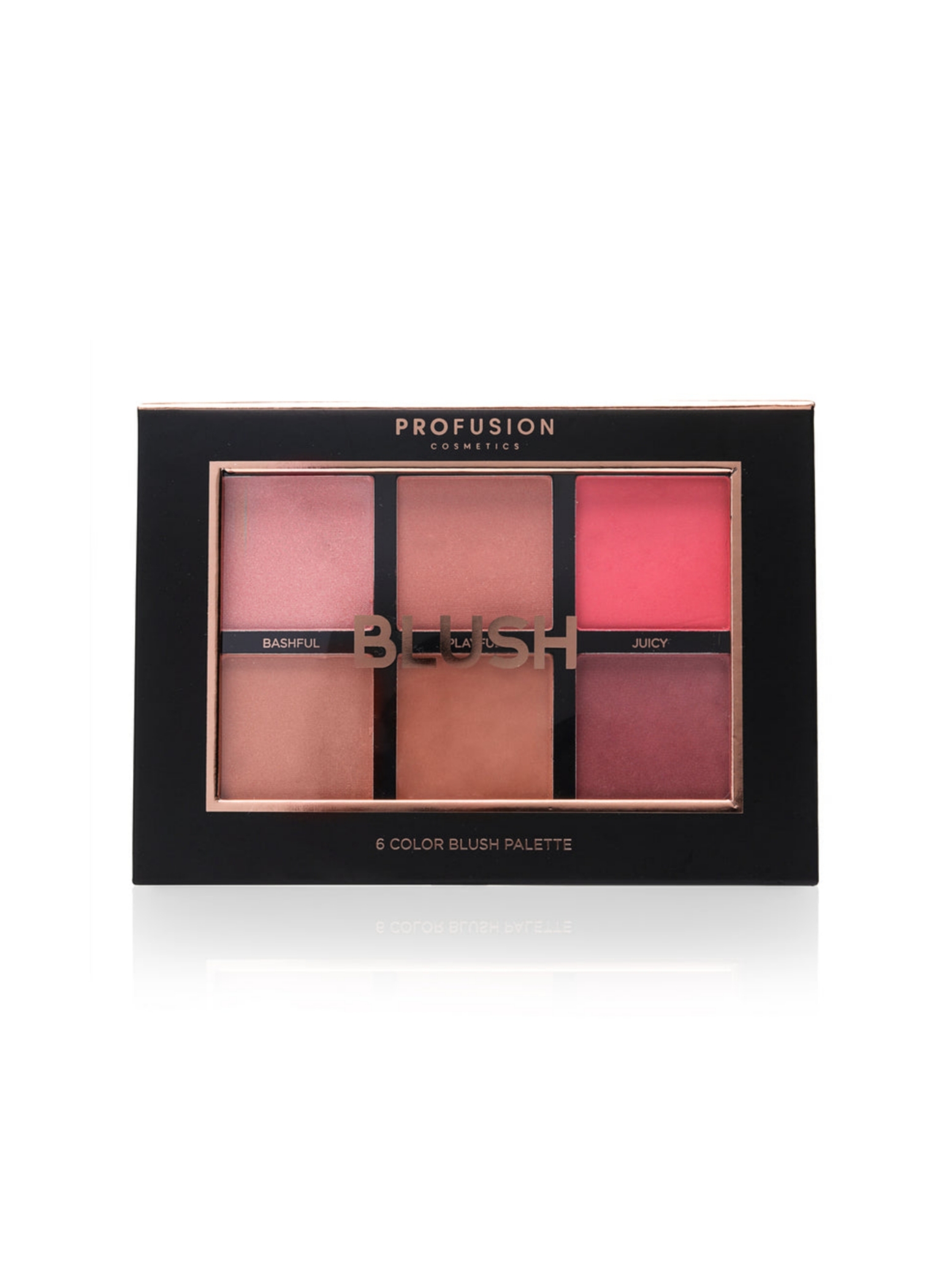  پالت رژگونه 6 رنگ پروفیوژن PROFUSION Cosmetics BLUSH PALETTE 