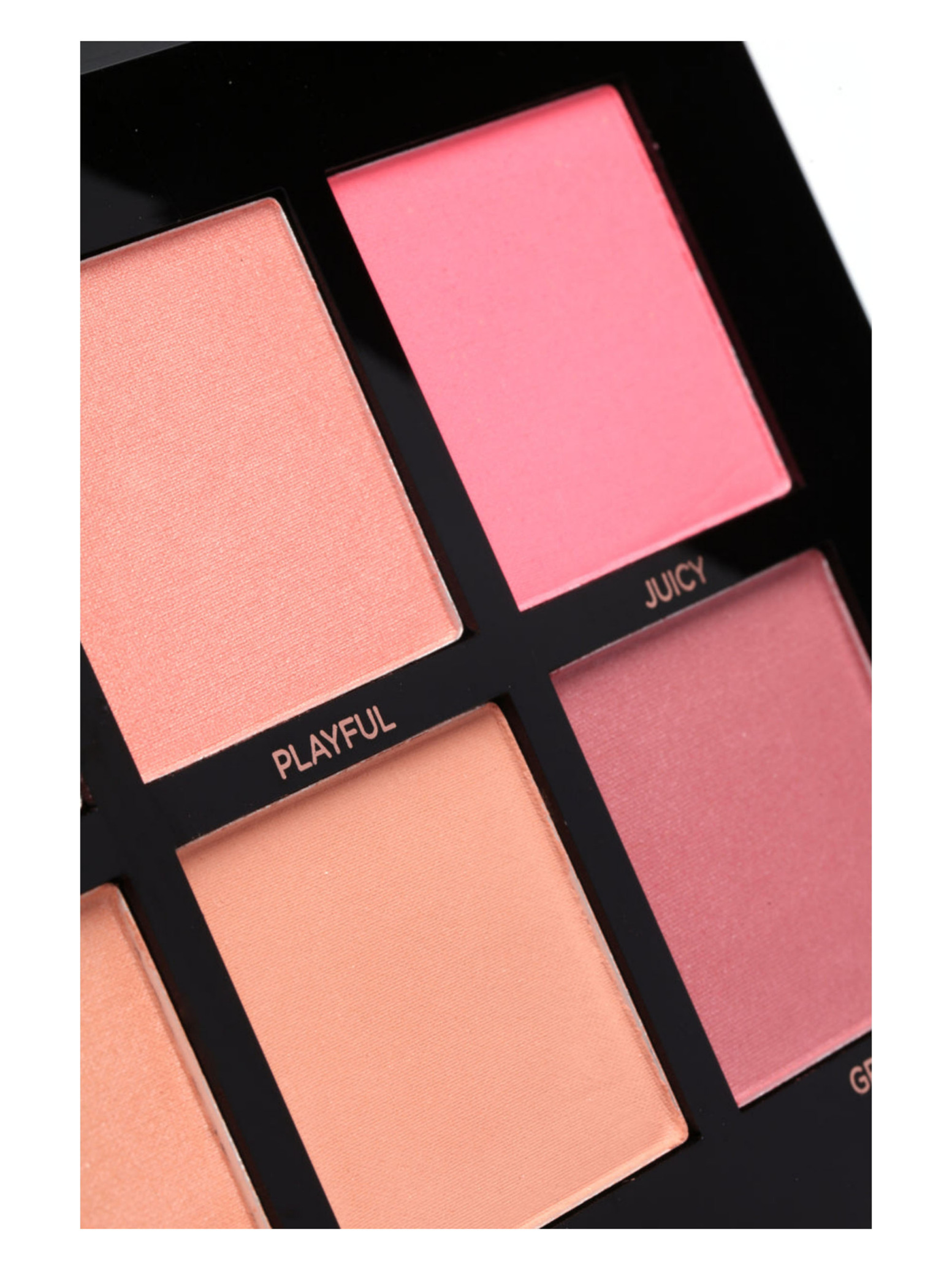  پالت رژگونه 6 رنگ پروفیوژن PROFUSION Cosmetics BLUSH PALETTE 