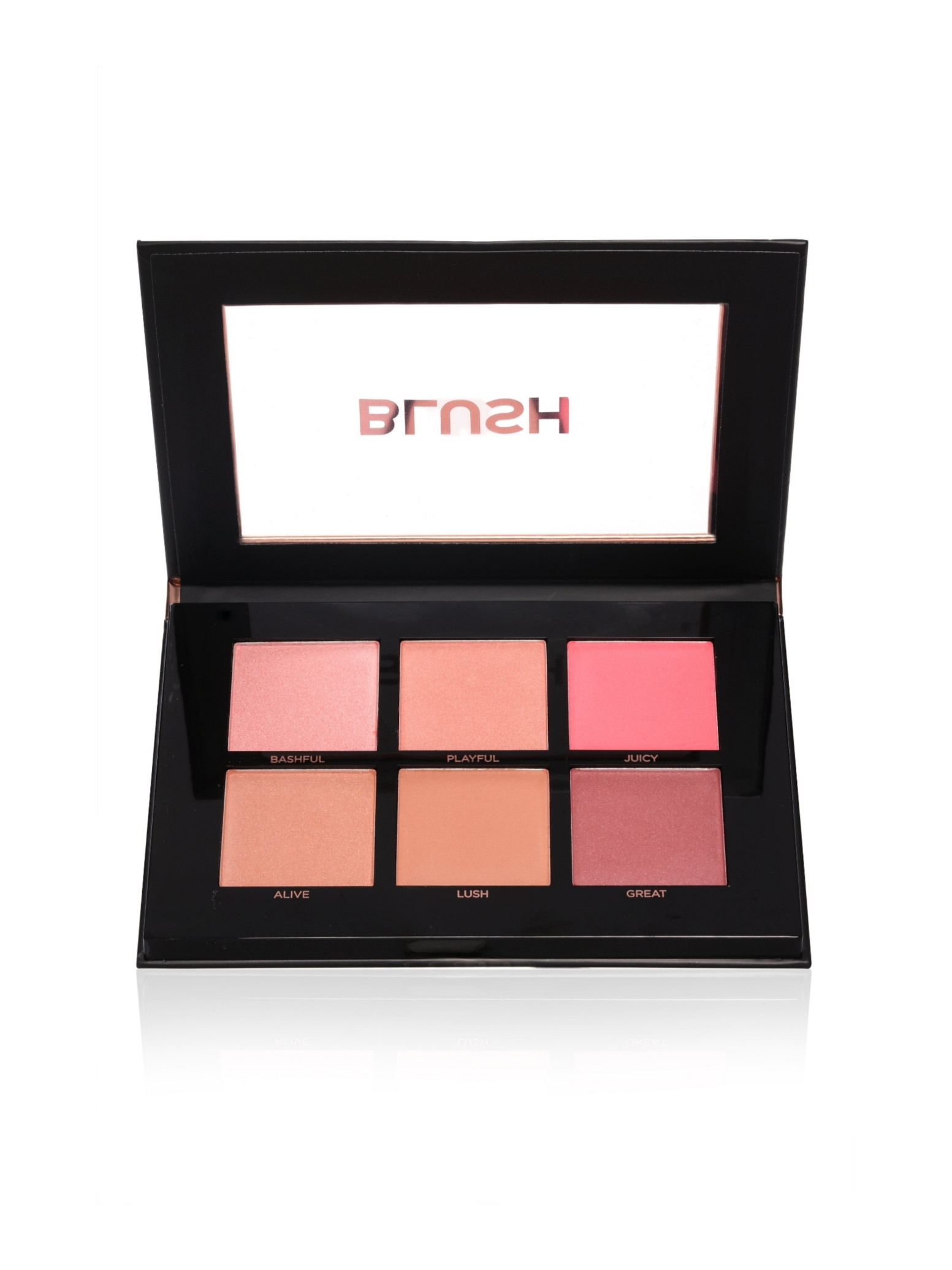  پالت رژگونه 6 رنگ پروفیوژن PROFUSION Cosmetics BLUSH PALETTE 